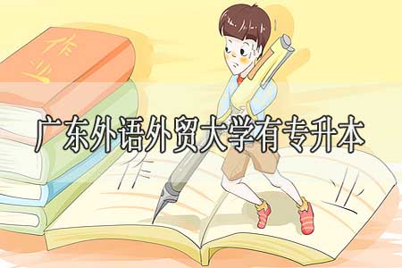 广东外语外贸大学有专升本吗?怎么考?