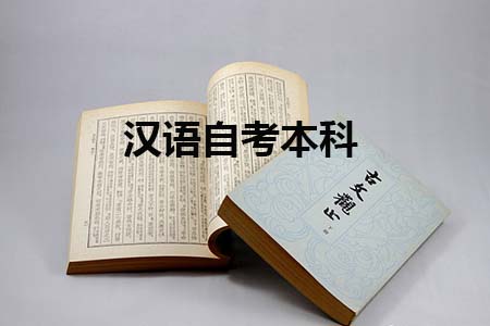 广东外语外贸大学汉语自考本科有英语一吗