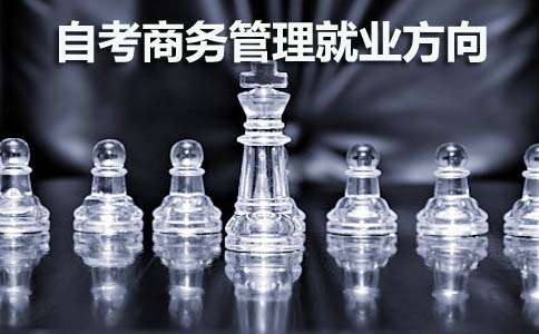 自考商务管理就业方向有哪些